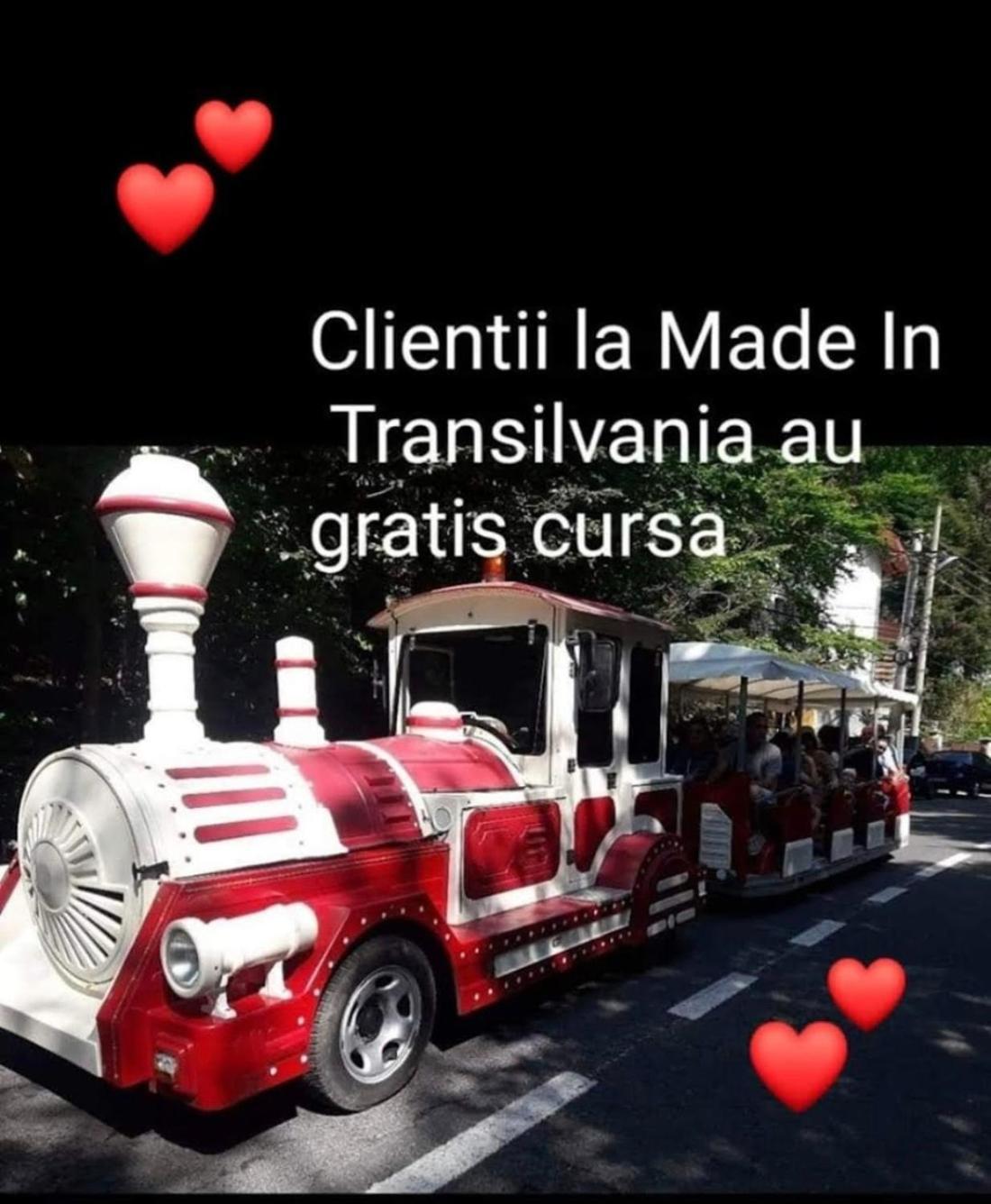 Made In Transilvania Sighişoara Exterior foto